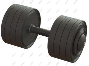 Professional dumbbell 36 kg TC126-36PL