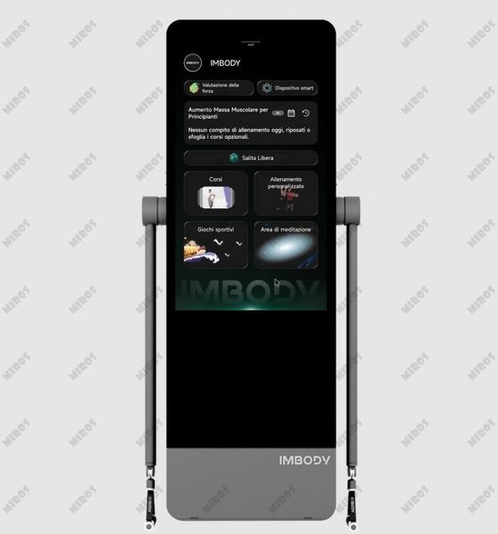 IMBODY Smart Mirror with AC4001 Load